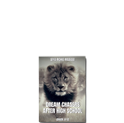 Show details for Dream Chasers After High School