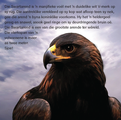 Show details for Die Arend Storie