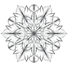 Show details for Bloom where you are planted