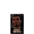 Show details for Decoding 666_9 The Inexplicable life of Senzo Meyiwa