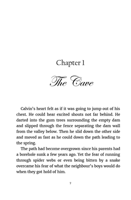 Show details for Time Travelling Adventurers Series