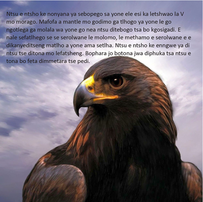Show details for The Eagle Story - Setswana