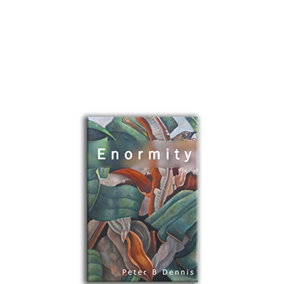 Show details for Enormity