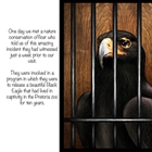 Show details for The Eagle Story