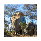 Show details for Zimbabwe's Timeless Beauty . The 2021 Collection