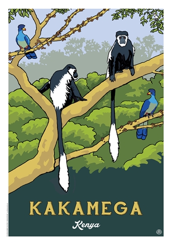 Show details for KAKAMEGA Kenya