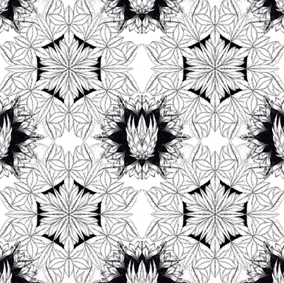 Show details for Bloom where you are planted