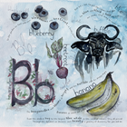 Show details for Juniper's Alphabet Book (Hard Cover Version)