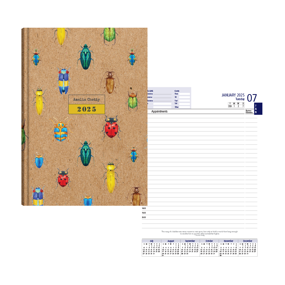 Show details for Craft Insect Diary A5 