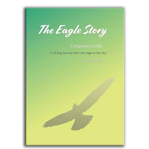 Show details for The Eagle Story Companion Guide 