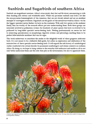 Show details for Roberts Sunbirds and Sugarbirds of Southern Africa