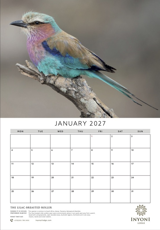 Show details for Calendar Design Services