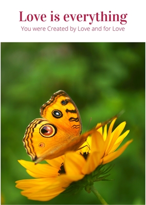 Show details for 32 Life Lessons in Pictures