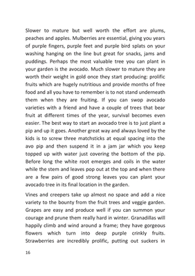 Show details for Surviving Zimbabwe