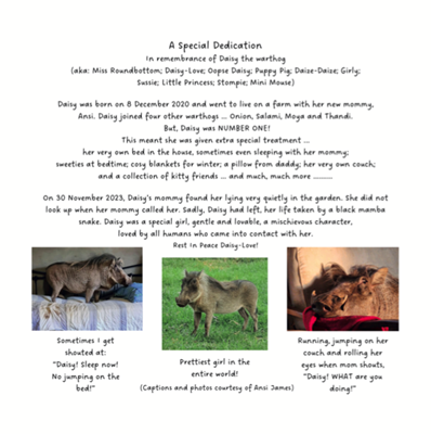 Show details for The Thirsty Warthog