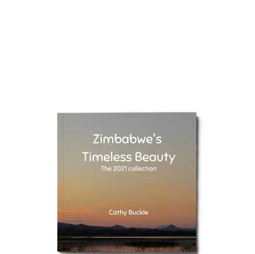 Show details for Zimbabwe's Timeless Beauty . The 2021 Collection