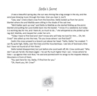 Show details for Stella's Secret