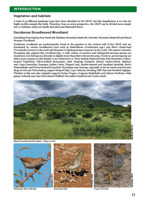 Show details for Roberts Bird Guide Greater Kruger National Park (Second Edition)