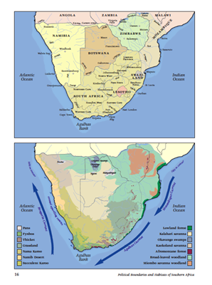 Show details for Roberts Birds of Southern Africa 7th Edition