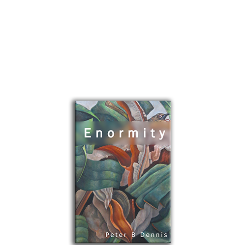 Show details for Enormity