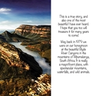 Show details for The Eagle Story