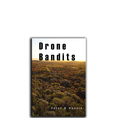 Show details for Drone Bandits