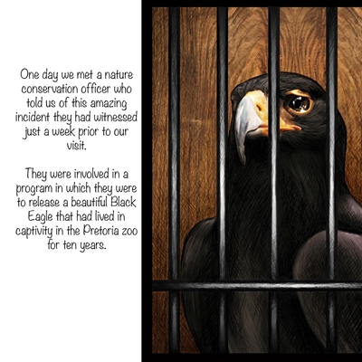 Show details for The Eagle Story