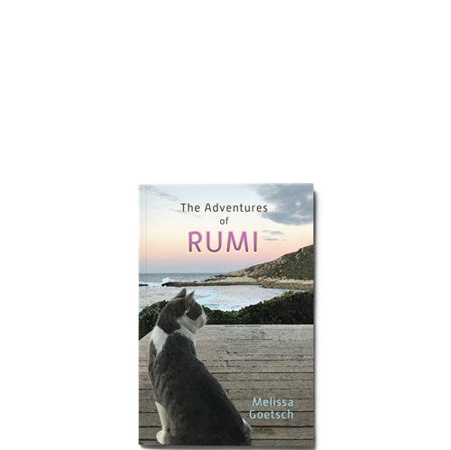 Picture of Rumi