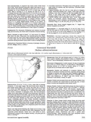 Show details for Roberts Birds of Southern Africa 7th Edition