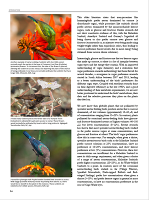 Show details for Roberts Sunbirds and Sugarbirds of Southern Africa