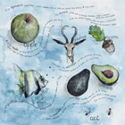 Show details for Juniper's Alphabet Book (Hard Cover Version)