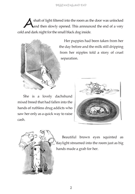 Show details for I am Kiwi