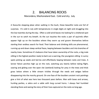 Show details for Zimbabwe's Timeless Beauty . The 2021 Collection