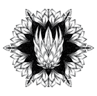 Show details for Bloom where you are planted