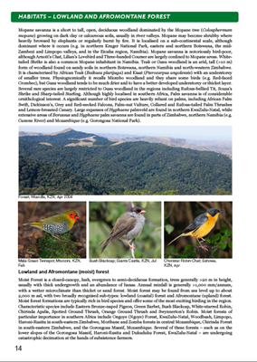 Show details for Roberts Bird Guide (Second Edition)