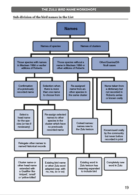 Show details for Roberts Birds of Kwazulu-Natal and their Zulu Names