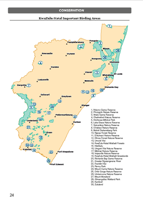 Show details for Roberts Birds of Kwazulu-Natal and their Zulu Names