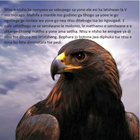 Show details for The Eagle Story - Setswana