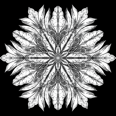 Show details for Bloom where you are planted