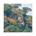 Show details for Zimbabwe's Timeless Beauty . The 2021 Collection